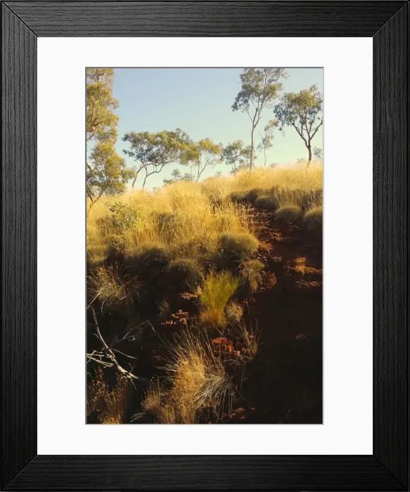 Framed Print : Wlking up the trail throught the spinifex Framed Print : Wlking up the trail throught the spinifex