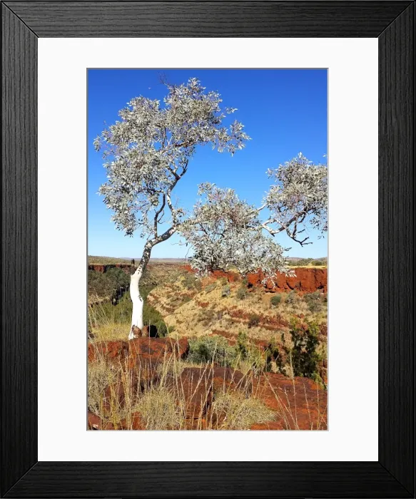 Framed Print : Looking across the gorges of Karijini National Park in Western Australia