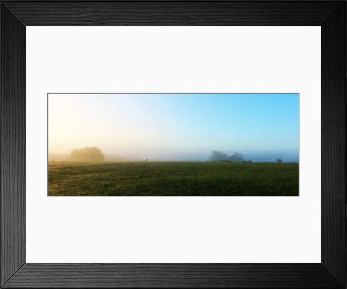 Framed Print : Misty mornig with the kangaroos Framed Print : Misty mornig with the kangaroos