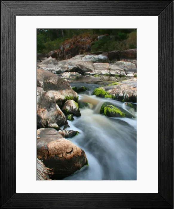 Framed Print : Moss on the river near Walpole