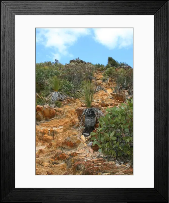 Framed Print : Outback Hill is a typical Australia scene in the south West Framed Print : Outback Hill is a typical Australia scene in the south West