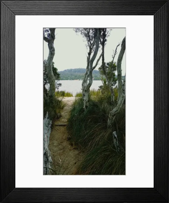 Framed Print : Walpole Track Framed Print : Walpole Track
