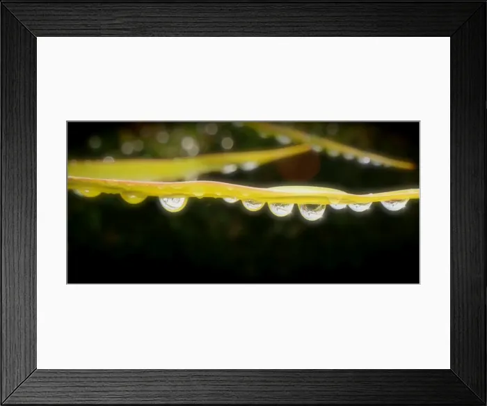 Framed Print : Drip, drip