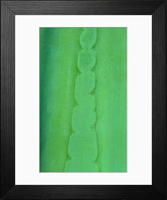 Framed Print : A macro image of an aloe vera plant producing a great pattern Framed Print : A macro image of an aloe vera plant producing a great pattern