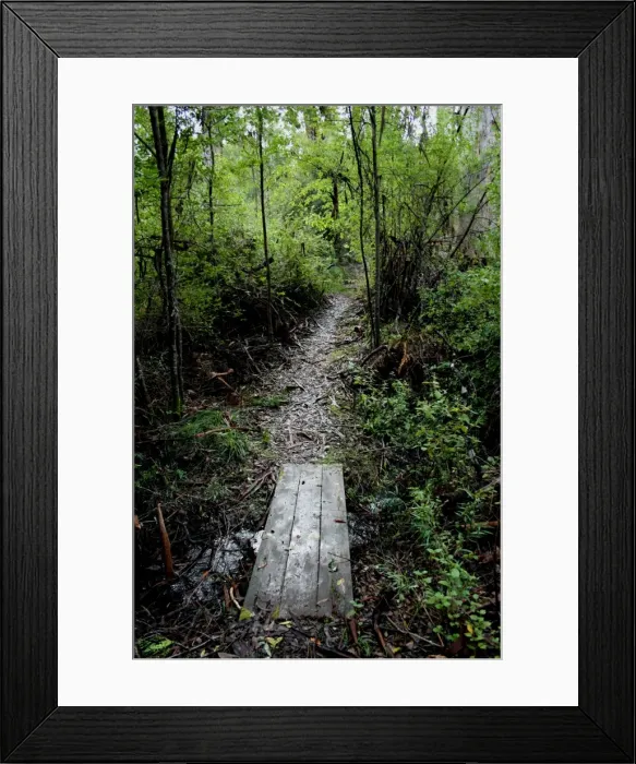 Framed Print : A wooded section of the Bibbulmun track in SW Australia