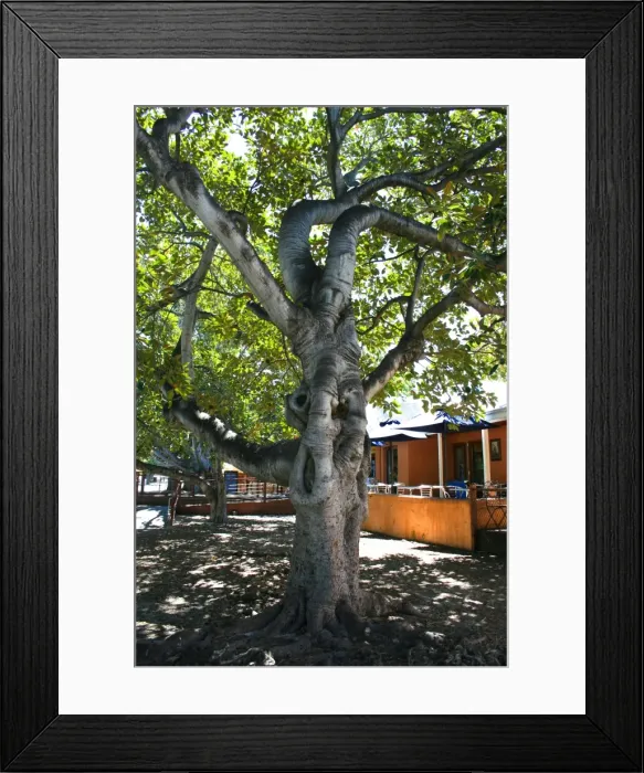 Framed Print : Island village Framed Print : Island village