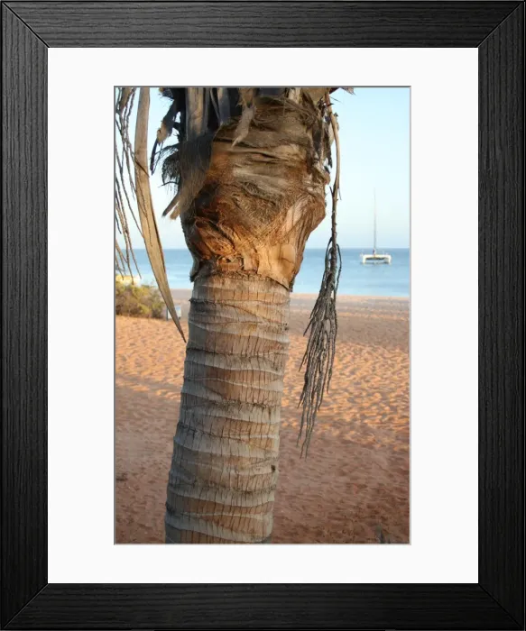 Framed Print : Palm Beach Framed Print : Palm Beach