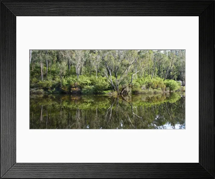 Framed Print : Reflection of the trees into the river at Dwellingup Framed Print : Reflection of the trees into the river at Dwellingup