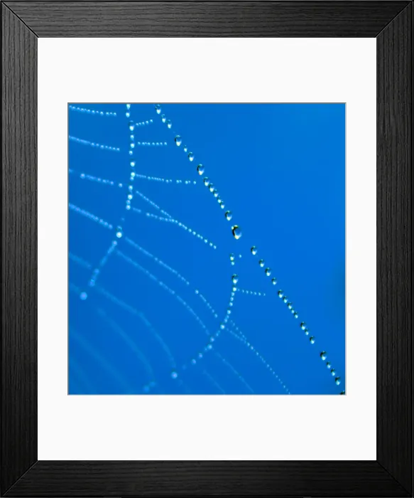 Framed Print : A cobweb covered in morning dew creating an abstract image Framed Print : A cobweb covered in morning dew creating an abstract image