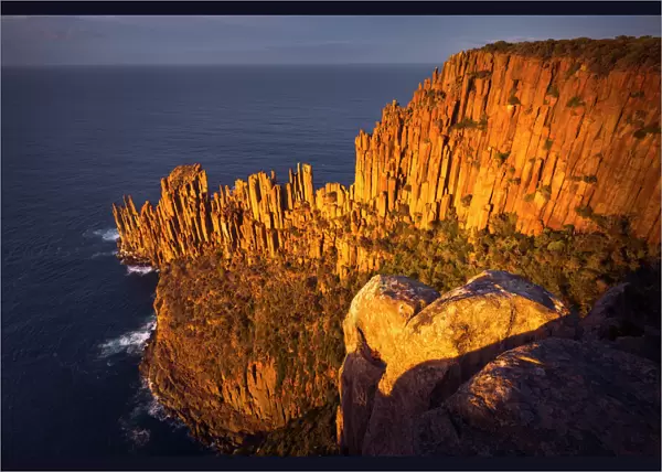 Cape Raoul`s sea cliffs of Dolerite at sunrise, Tasman National Park, Tasmania, Australia