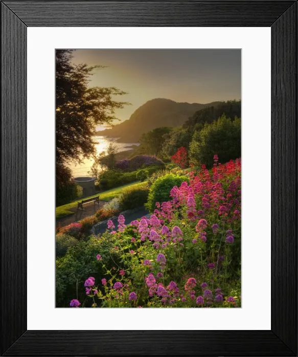 Framed Print : St James park dawn Framed Print : St James park dawn