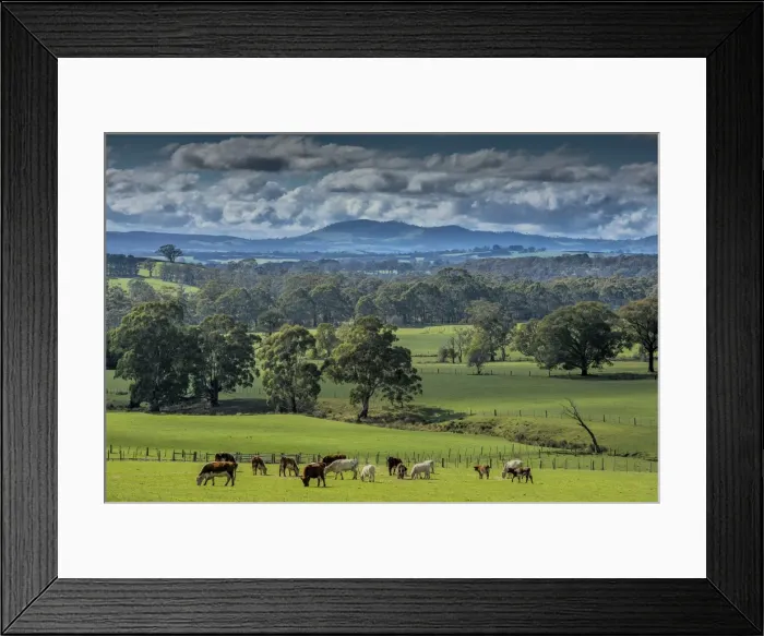 Framed Print : A rural scene in the Cherokee countryside, Macedon Ranges, Victoria, Australia Framed Print : A rural scene in the Cherokee countryside, Macedon Ranges, Victoria, Australia