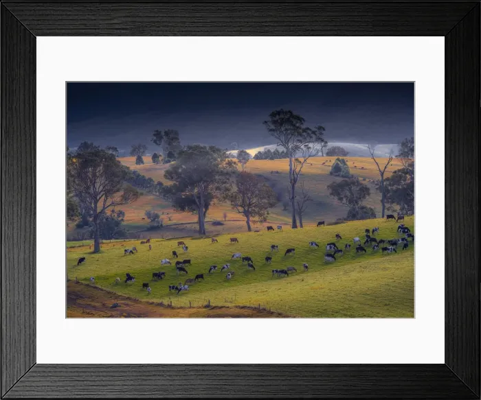 Framed Print : Pastural scenery just south of Cobargo, southern coastline of New South Wales, Australia