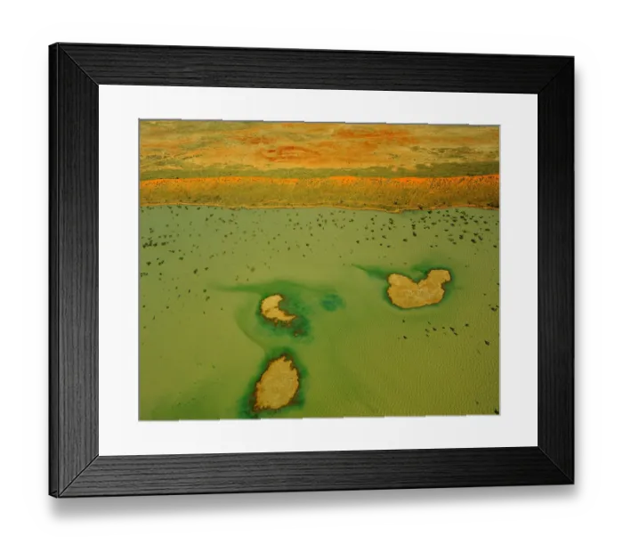 Framed Print : An Aerial view of the Australian outback in flood, showing the vibrant colours of the Landscape Framed Print : An Aerial view of the Australian outback in flood, showing the vibrant colours of the Landscape