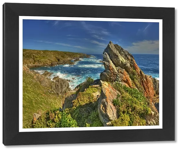 Seal Rocks, King Island, Bass Strait, Tasmania, Australia