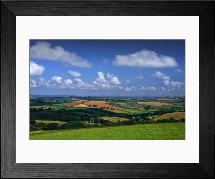 Framed Print : Summer in the Devon countryside, England, United Kingdom Framed Print : Summer in the Devon countryside, England, United Kingdom