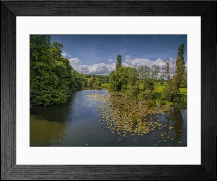 Framed Print : A view of the Stour river at Blandford Forum, Dorset, England, United Kingdom