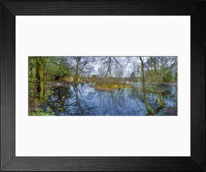 Framed Print : A pond in winter, countryside near Warham, Dorset, England, United Kingdom Framed Print : A pond in winter, countryside near Warham, Dorset, England, United Kingdom
