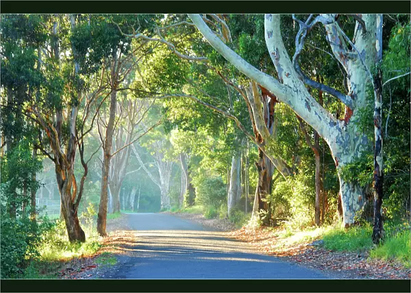 Back road to Narooma, New South Wales, Australia