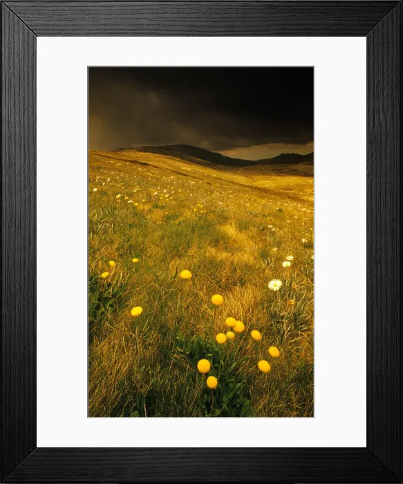 Framed Print : An Alpine view, Snowy Mountains, New South Wales, Australia Framed Print : An Alpine view, Snowy Mountains, New South Wales, Australia