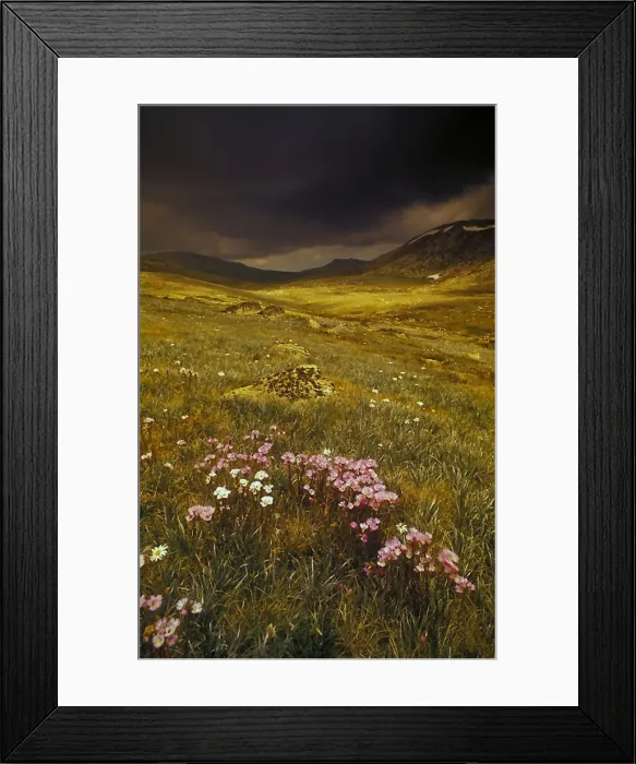 Framed Print : An Alpine view, Snowy Mountains, New South Wales, Australia Framed Print : An Alpine view, Snowy Mountains, New South Wales, Australia
