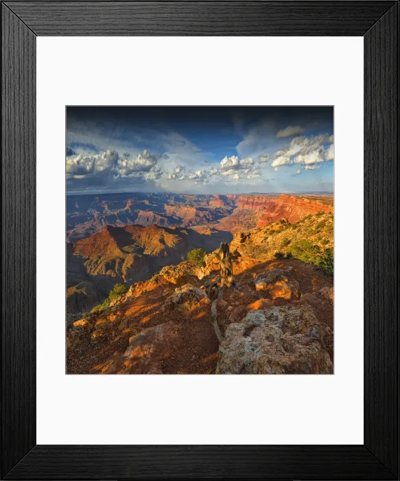 Framed Print : Grand Canyon, Arizona, United States of America Framed Print : Grand Canyon, Arizona, United States of America