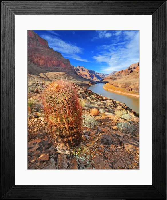 Framed Print : The Colorado river, Arizona, United States of America Framed Print : The Colorado river, Arizona, United States of America