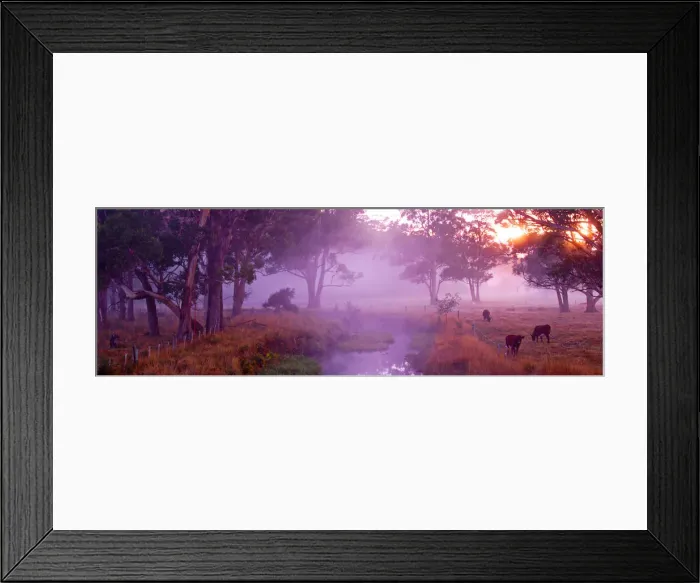 Framed Print : Mist at Dawn near Sheffield, central Tasmania Framed Print : Mist at Dawn near Sheffield, central Tasmania