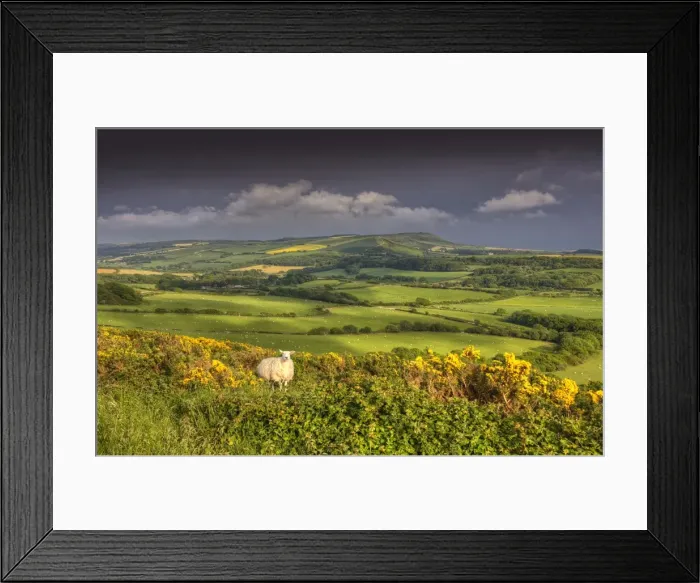 Framed Print : A view of the countryside in the Purbeck hills, Dorset, England, United kingdom