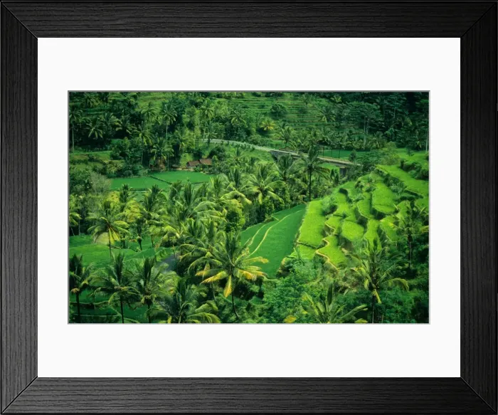 Framed Print : Terraced rice-fields, on the eastern side of the island of Bali, Indonesia Framed Print : Terraced rice-fields, on the eastern side of the island of Bali, Indonesia