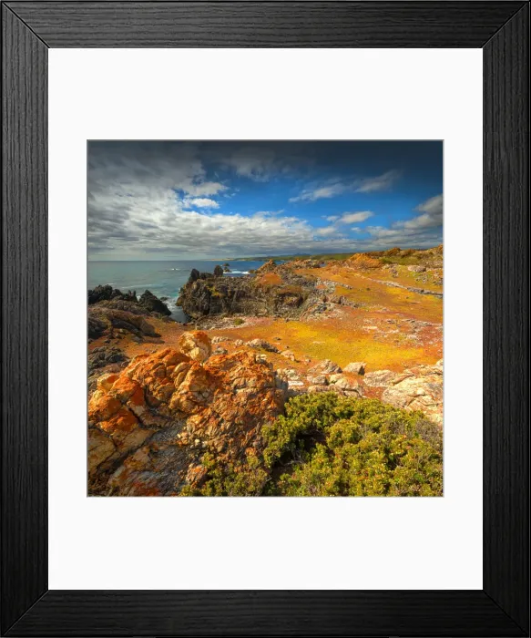 Framed Print : A view north on the Tarkine coast, western Tasmania Framed Print : A view north on the Tarkine coast, western Tasmania