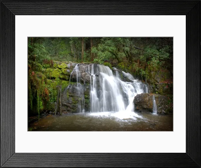 Framed Print : Lilydale falls, northern Tasmania Framed Print : Lilydale falls, northern Tasmania