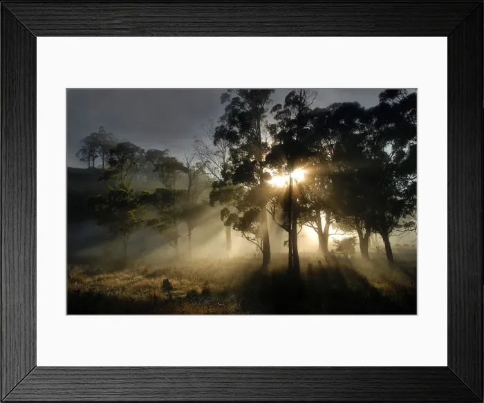 Framed Print : First light of Dawn, Sheffield, central Tasmania