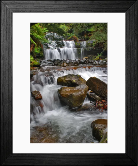 Framed Print : Liffey Falls, a beautiful and scenic area in northern Tasmania, which is protected rainforest and part of the world heritage forests