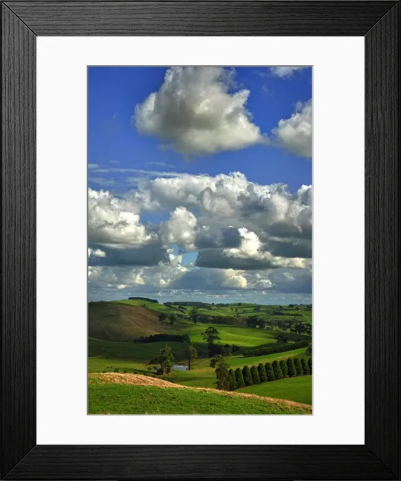 Framed Print : The rolling countryside in south Gippsland near the town of Fish Creek, Victoria Framed Print : The rolling countryside in south Gippsland near the town of Fish Creek, Victoria