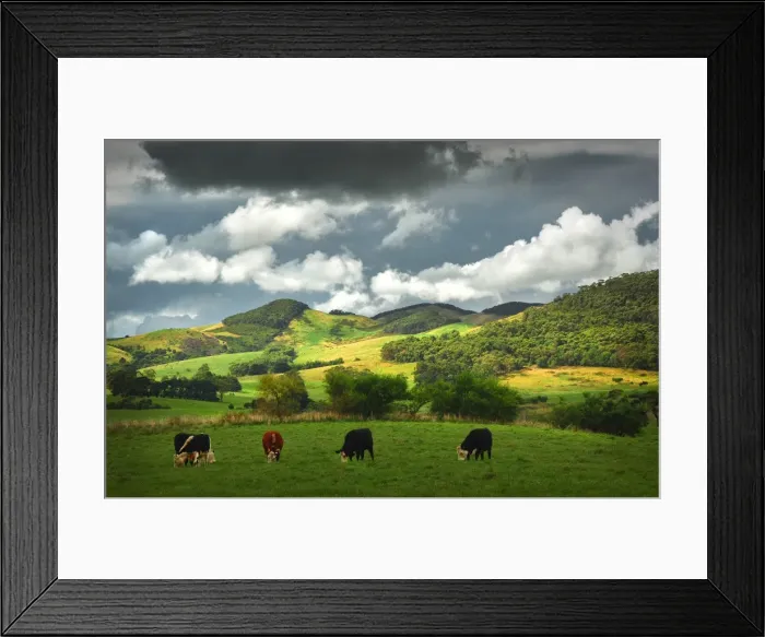Framed Print : The rolling countryside in south Gippsland near the town of Fish Creek, Victoria