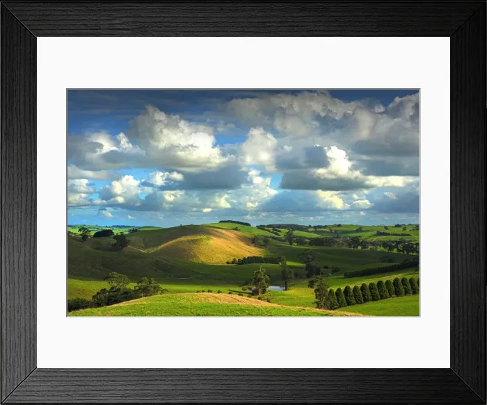 Framed Print : The rolling countryside in south Gippsland near the town of Fish Creek, Victoria Framed Print : The rolling countryside in south Gippsland near the town of Fish Creek, Victoria