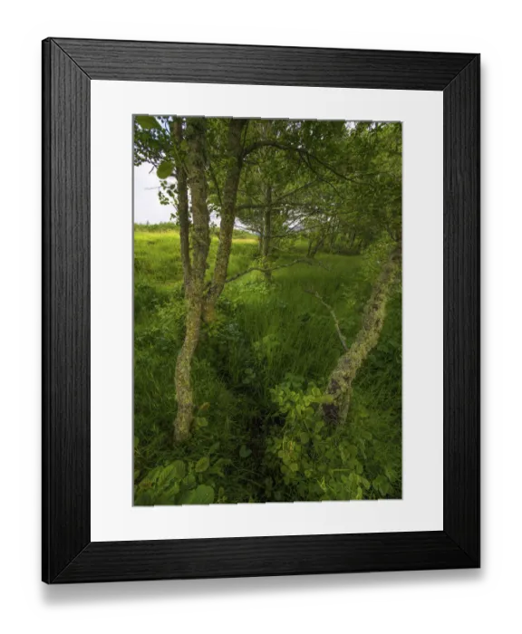 Framed Print : Scotland, United Kingdom Framed Print : Scotland, United Kingdom
