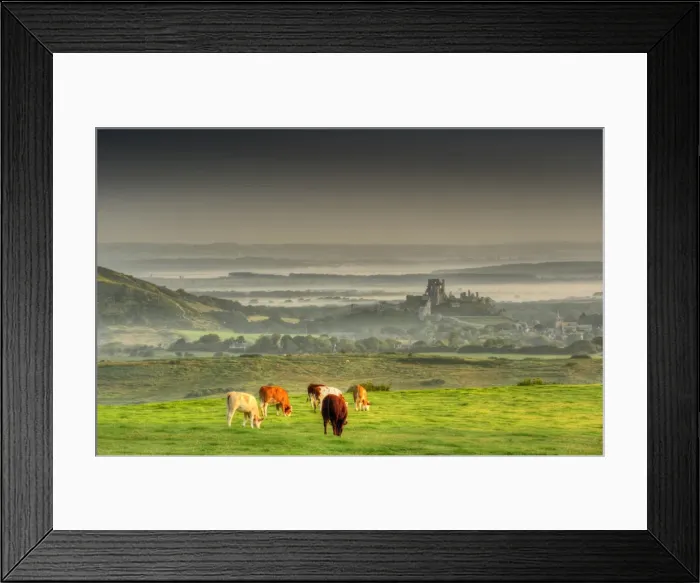 Framed Print : A dawn view of Corfe Castle, Isle of Purbeck, Dorset, England, United kingdom Framed Print : A dawn view of Corfe Castle, Isle of Purbeck, Dorset, England, United kingdom