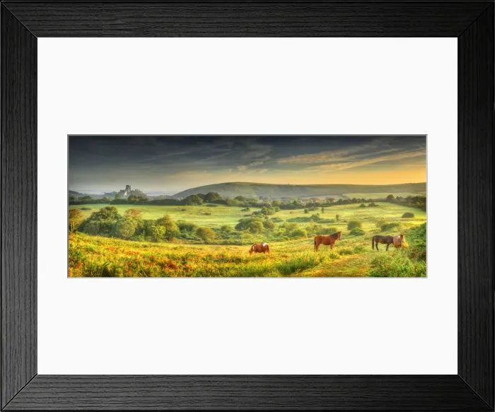 Framed Print : A dawn view of Corfe Castle, Isle of Purbeck, Dorset, England, United kingdom