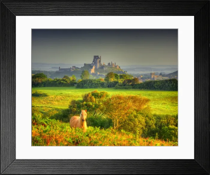 Framed Print : A dawn view of Corfe Castle, Isle of Purbeck, Dorset, England, United kingdom Framed Print : A dawn view of Corfe Castle, Isle of Purbeck, Dorset, England, United kingdom