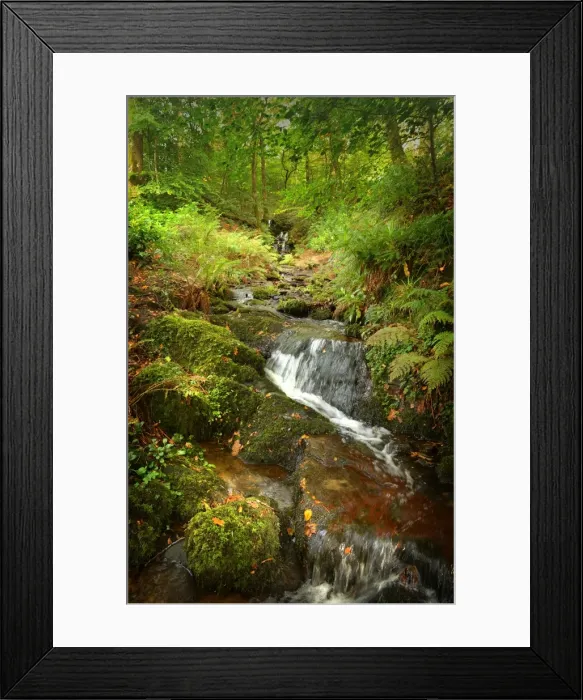 Framed Print : Waterfall in the forest near the western shoreline of Loch Lomond, the Trossachs, Scottish highlands
