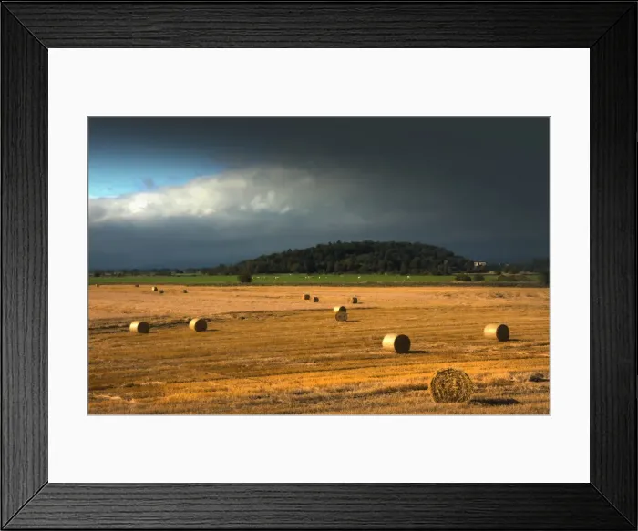 Framed Print : Summer Harvest at Stirling, Scotland