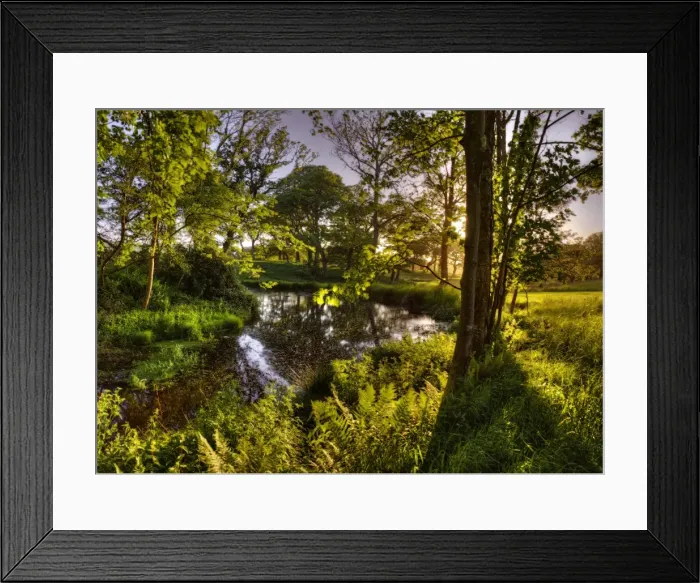 Framed Print : Grange Heath, a very scenic rural area near the Isle of Purbeck, Dorset, England Framed Print : Grange Heath, a very scenic rural area near the Isle of Purbeck, Dorset, England