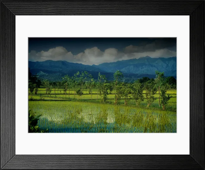 Framed Print : Rural scene on the Island of Lombok, Indonesia