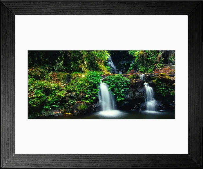 Framed Print : Lamington national Park, south east Queensland, Australia Framed Print : Lamington national Park, south east Queensland, Australia