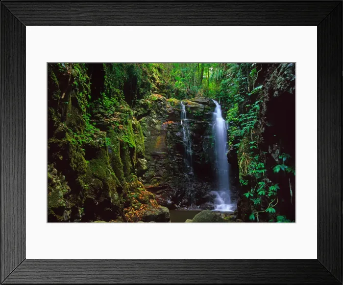 Framed Print : Enchanted falls, Mount Tamborine rainforest, Queensland, Australia