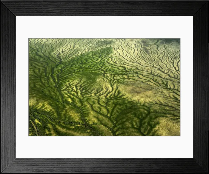 Framed Print : Aerial view of the Channel country in flood, outback Queensland, Australia