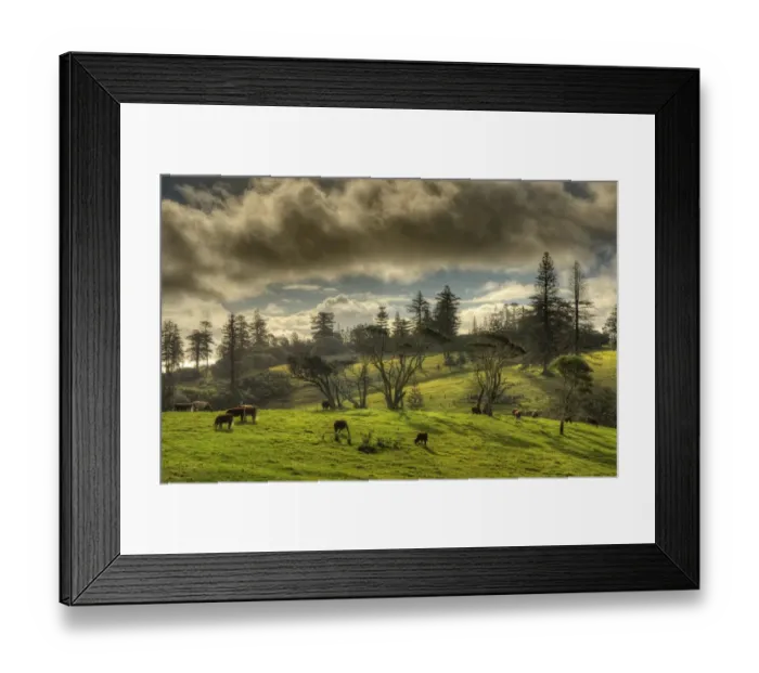 Framed Print : A rural scene on the Idyllic south pacific Norfolk Island Framed Print : A rural scene on the Idyllic south pacific Norfolk Island