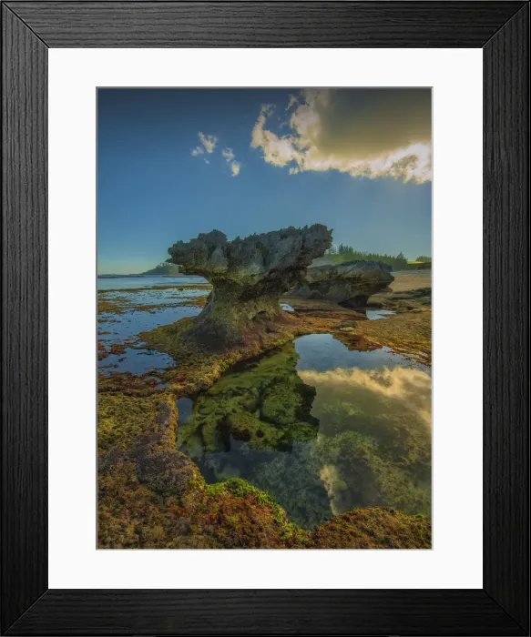 Framed Print : A shoreline view of the remmants of coral outcrops on the coastline of Slaughter bay at Kingston, Norfolk Island Framed Print : A shoreline view of the remmants of coral outcrops on the coastline of Slaughter bay at Kingston, Norfolk Island